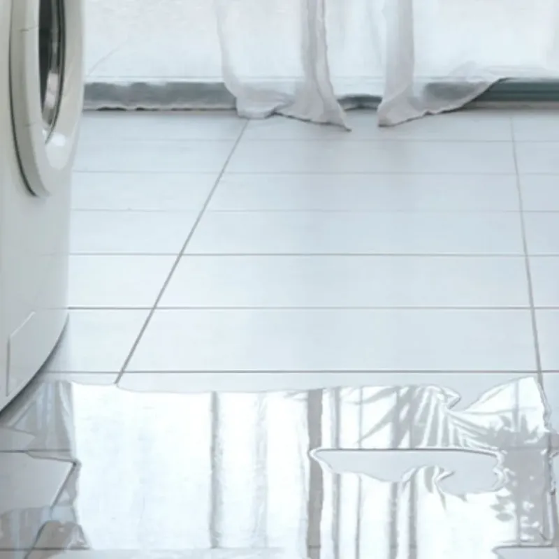 Appliance Leak Cleanup in Caroline County, VA