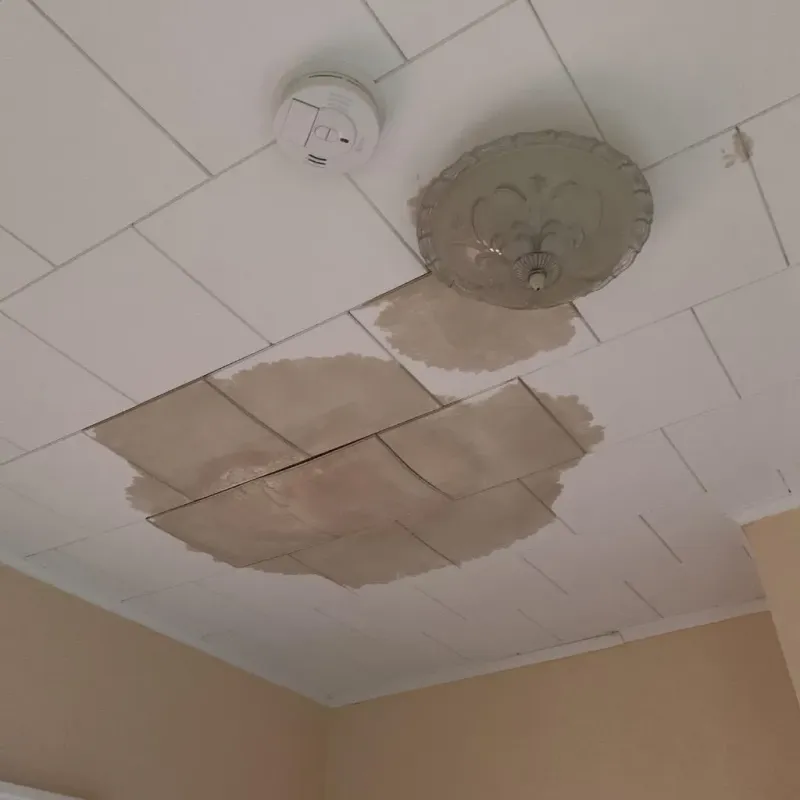 Ceiling Water Damage Repair in Caroline County, VA