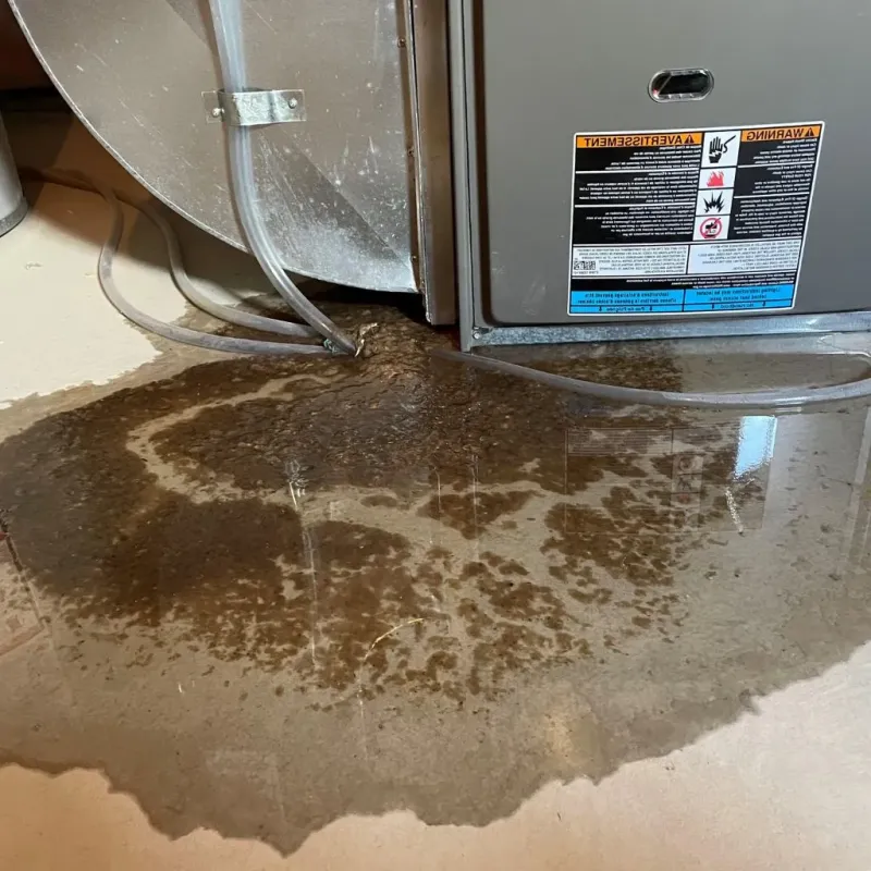 Pipe Burst and Leak Restoration in Caroline County, VA