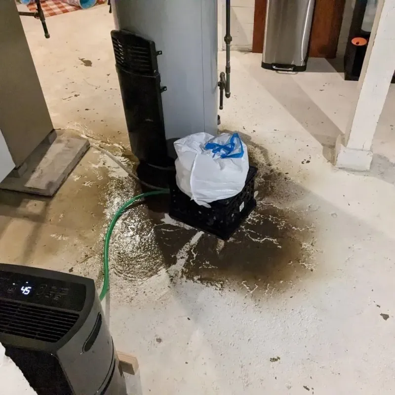 Sewage Backup Cleanup Service in Caroline County, VA